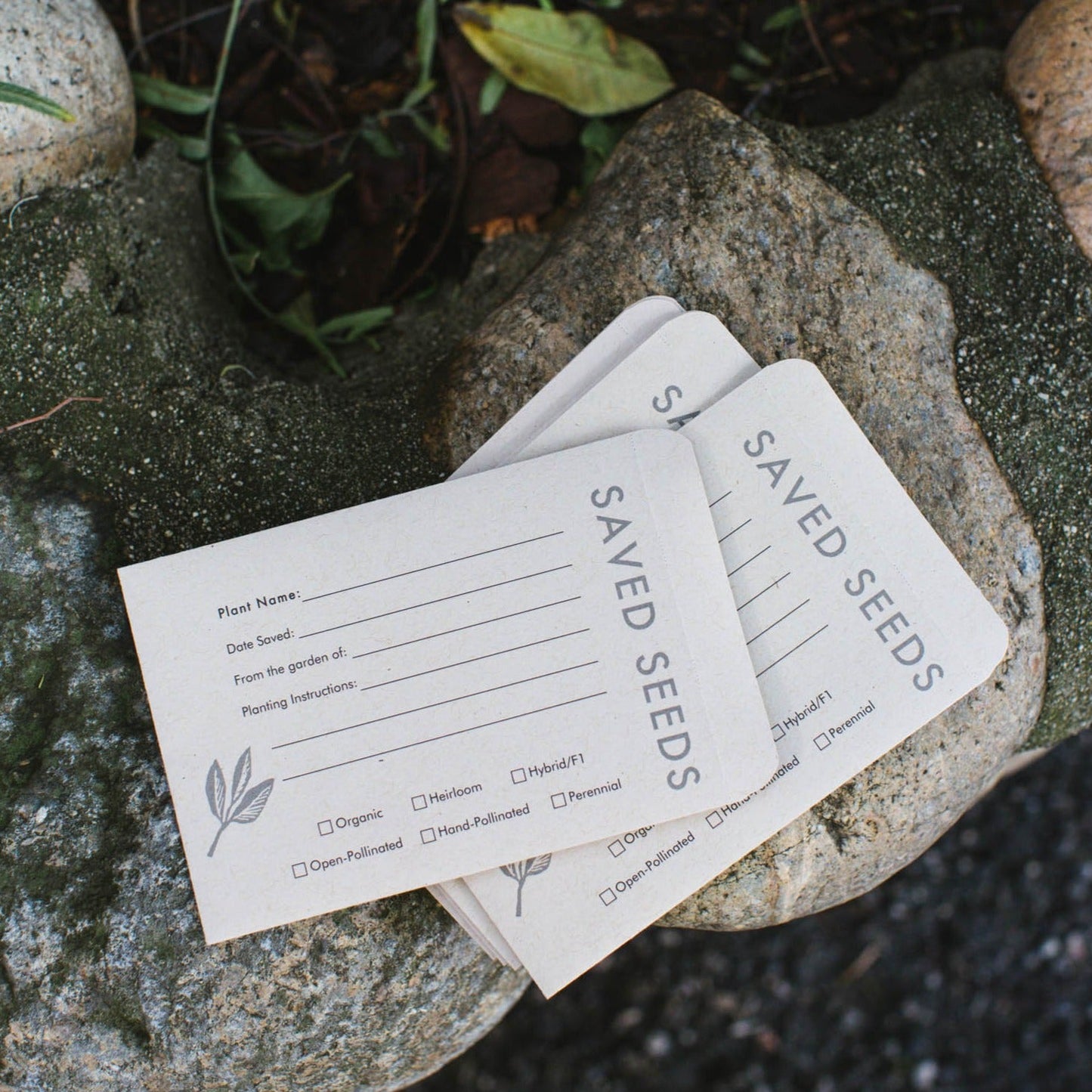 Seed Saving Envelopes
